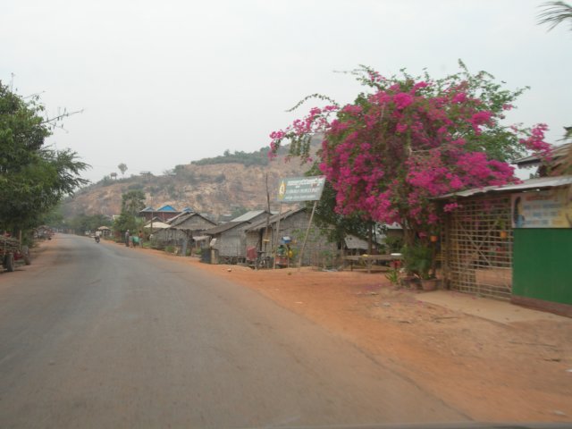 roadtotonlsap.jpg