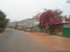 roadtotonlsap_small.jpg