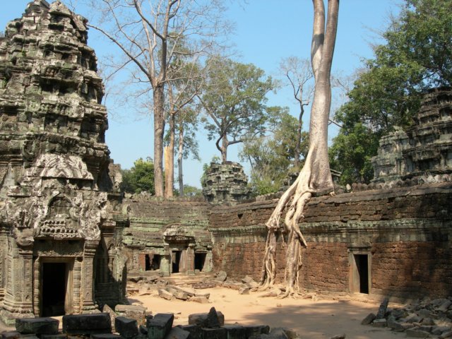 taprohm2.jpg