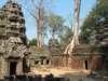 taprohm2_small.jpg