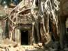taprohm3_small.jpg