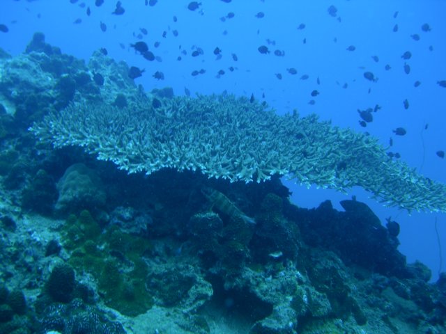 photo10.jpg