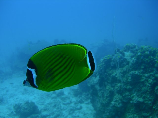 photo13.jpg