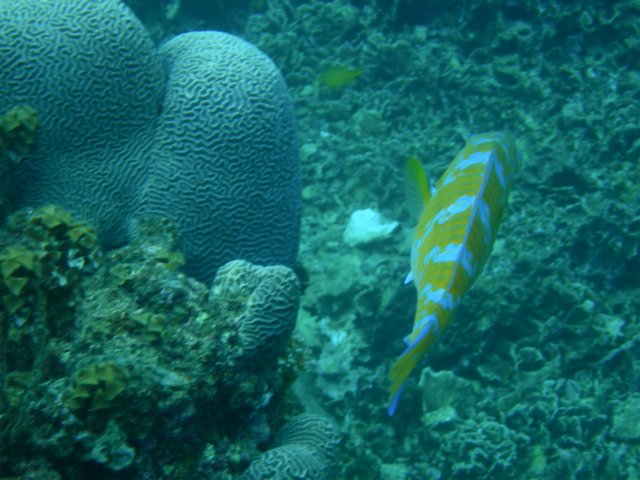 photo2.jpg