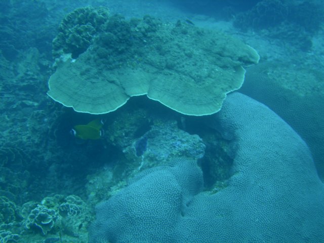 photo3.jpg