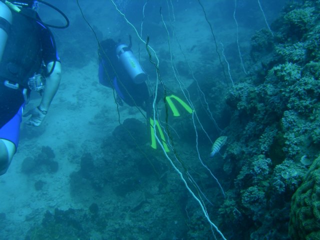 photo6.jpg