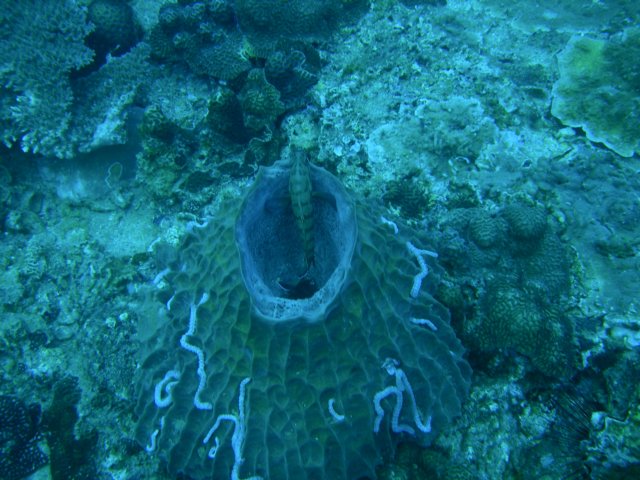 photo8.jpg
