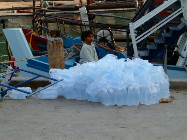 plasticbottles.jpg
